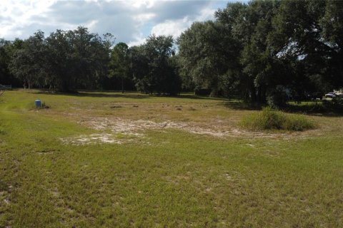 Commercial property in Weirsdale, Florida 6 bedrooms, 98.1 sq.m. № 2205723 - photo 6