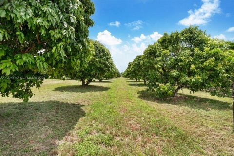 Terrain à vendre à Miami, Floride № 1992946 - photo 10