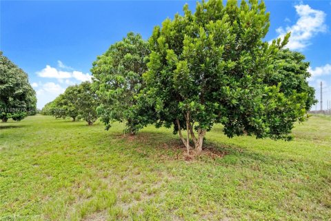 Terrain à vendre à Miami, Floride № 1992946 - photo 15