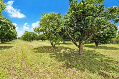 Terrain à vendre à Miami, Floride № 1992946 - photo 8
