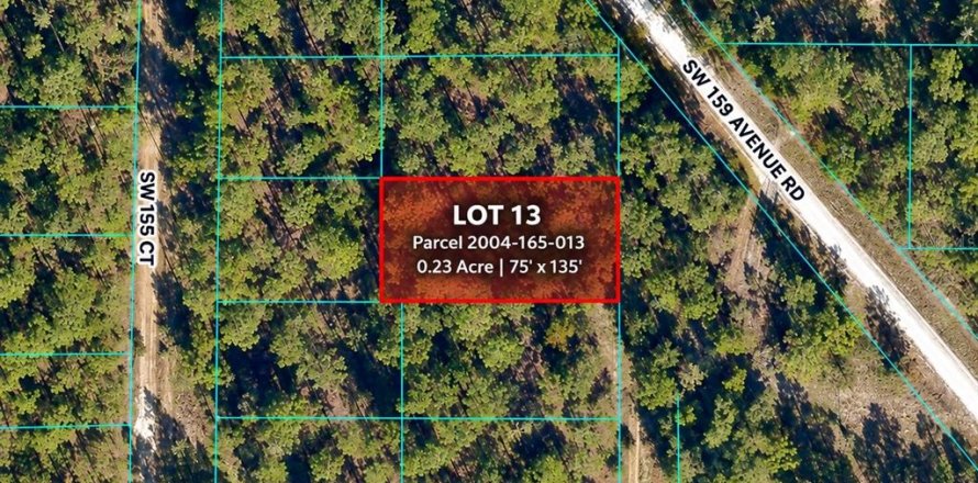 Terrain à Ocala, Floride № 2389430