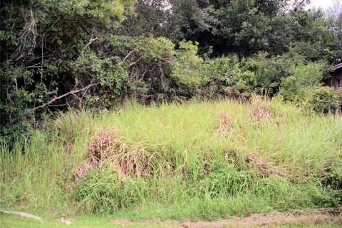 Terreno en venta en Kissimmee, Florida № 1390402 - foto 1