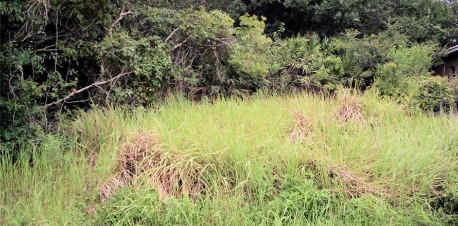 Terreno en Kissimmee, Florida № 1390402