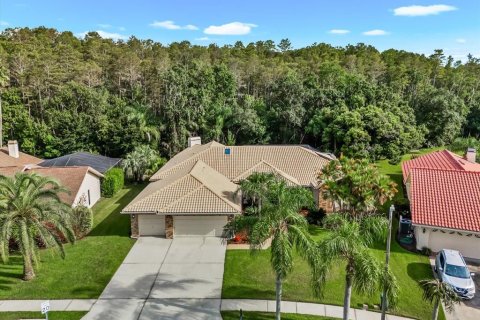 Casa en venta en Palm Harbor, Florida, 4 dormitorios, 346.99 m2 № 2384443 - foto 14