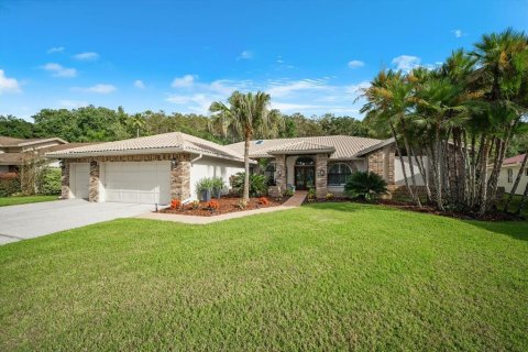 Casa en Palm Harbor, Florida 4 dormitorios, 346.99 m2 № 2384443