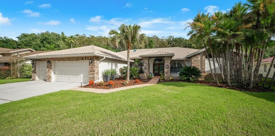 Casa en Palm Harbor, Florida 4 dormitorios, 346.99 m2 № 2384443