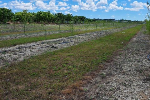 Commercial property in Homestead, Florida № 1867990 - photo 14