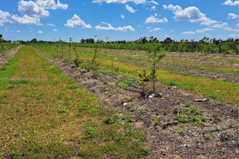 Commercial property in Homestead, Florida № 1867990 - photo 13