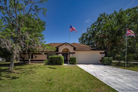 Villa ou maison à vendre à Palm Coast, Floride: 4 chambres, 195.75 m2 № 1655667 - photo 1