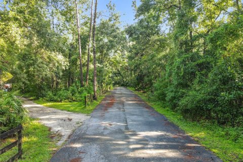Land in Oviedo, Florida № 1895113 - photo 17