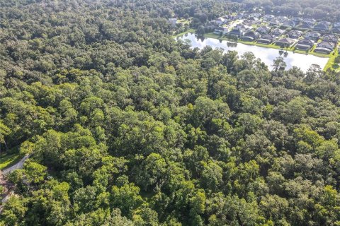 Land in Oviedo, Florida № 1895113 - photo 14