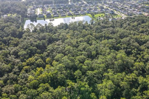 Land in Oviedo, Florida № 1895113 - photo 12