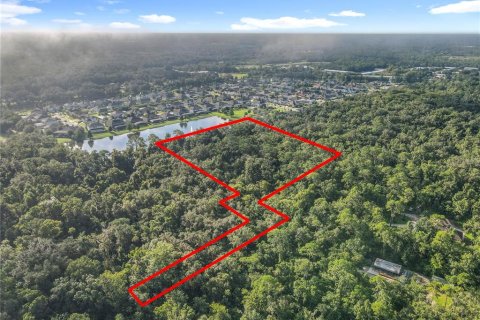 Land in Oviedo, Florida № 1895113 - photo 1