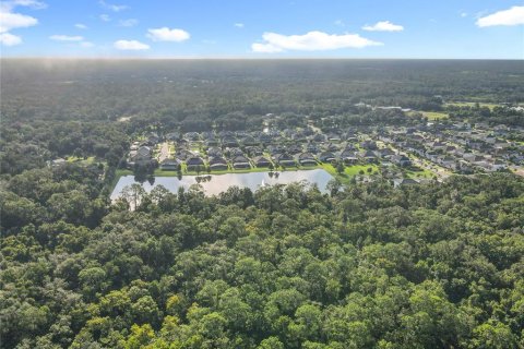 Land in Oviedo, Florida № 1895113 - photo 9