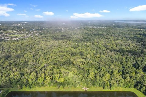 Land in Oviedo, Florida № 1895113 - photo 21