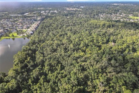 Land in Oviedo, Florida № 1895113 - photo 11