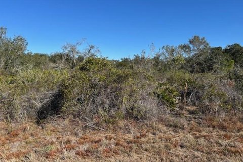 Terreno en venta en Punta Gorda, Florida № 2195192 - foto 2