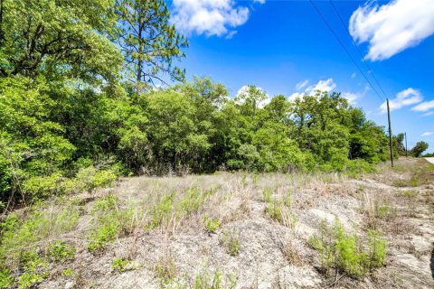 Land in Dunnellon, Florida № 1521024 - photo 3