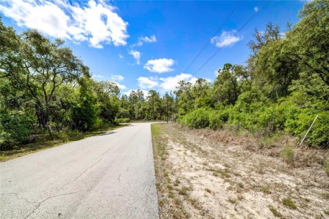 Land in Dunnellon, Florida № 1521024 - photo 4