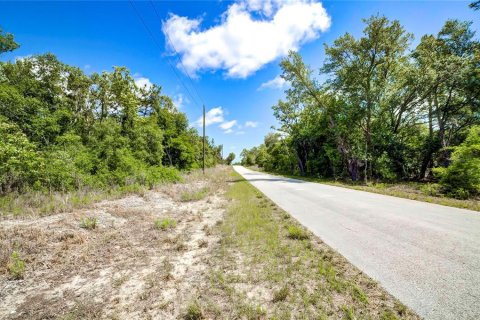 Land in Dunnellon, Florida № 1521024 - photo 1