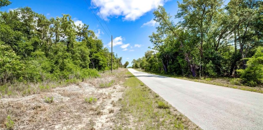 Land in Dunnellon, Florida № 1521024