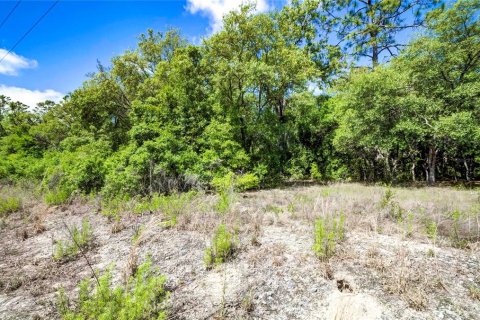 Land in Dunnellon, Florida № 1521024 - photo 2