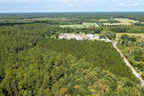 Land in Lawtey, Florida № 2092961 - photo 2