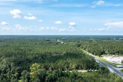 Land in Lawtey, Florida № 2092961 - photo 3