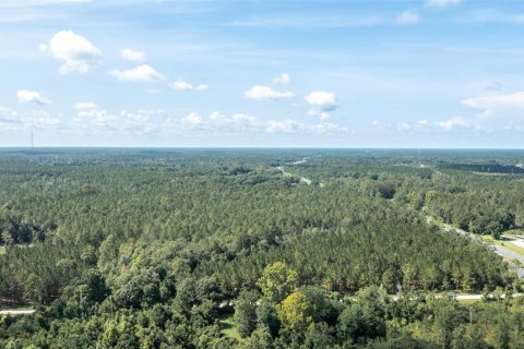 Land in Lawtey, Florida № 2092961 - photo 4