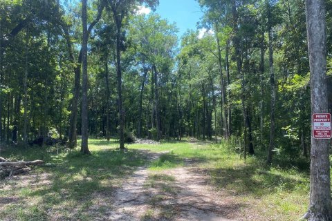 Land in Brooksville, Florida № 1613595 - photo 5