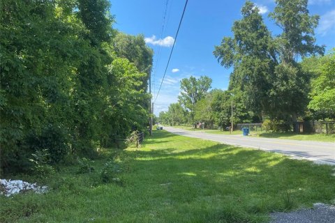 Land in Brooksville, Florida № 1613595 - photo 11