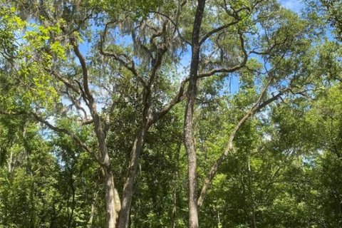 Land in Brooksville, Florida № 1613595 - photo 3