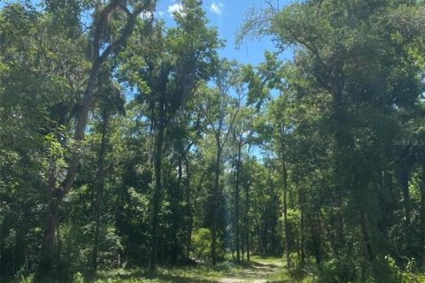 Land in Brooksville, Florida № 1613595 - photo 9