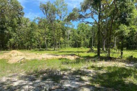 Land in Brooksville, Florida № 1613595 - photo 1