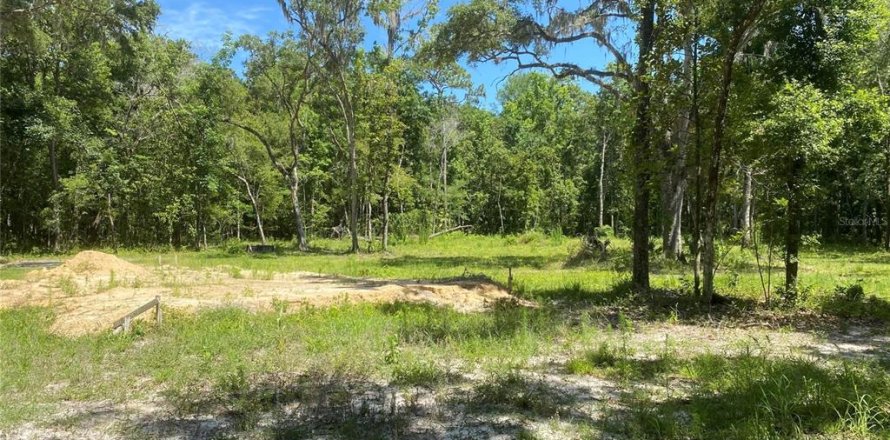 Land in Brooksville, Florida № 1613595