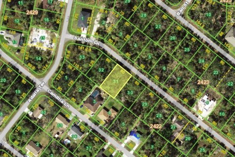 Land in Port Charlotte, Florida № 2166155 - photo 2