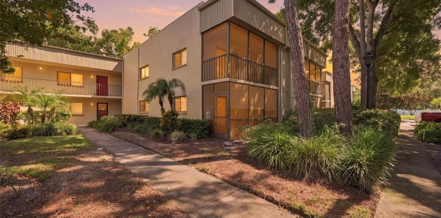 Condo à Palm Harbor, Floride, 1 chambre  № 2389434