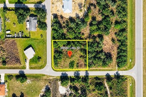 Land in Punta Gorda, Florida № 2400371 - photo 4