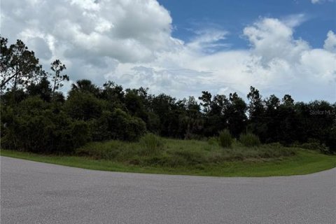 Land in Punta Gorda, Florida № 2400371 - photo 2