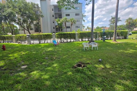 Studio in the Condo in Fort Lauderdale, Florida  № 2146191 - photo 14
