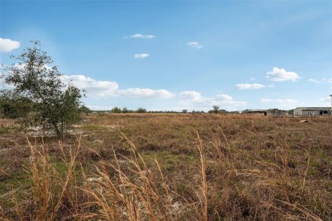 Land in Parrish, Florida № 1732379 - photo 2