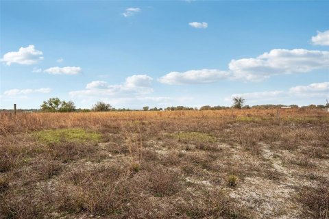 Land in Parrish, Florida № 1732379 - photo 7