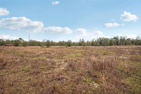 Land in Parrish, Florida № 1732379 - photo 11