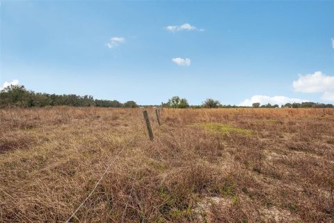 Land in Parrish, Florida № 1732379 - photo 6