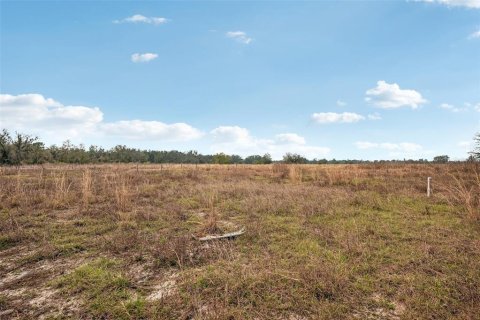 Land in Parrish, Florida № 1732379 - photo 9