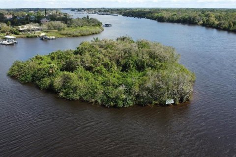 Terreno en venta en Alva, Florida № 1798172 - foto 5