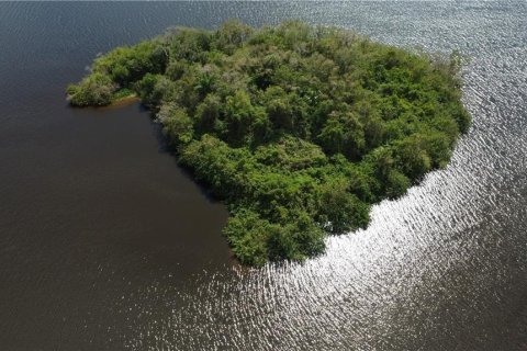 Terreno en venta en Alva, Florida № 1798172 - foto 8