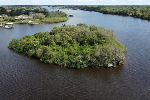 Terreno en venta en Alva, Florida № 1798172 - foto 3