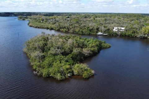 Terreno en venta en Alva, Florida № 1798172 - foto 12