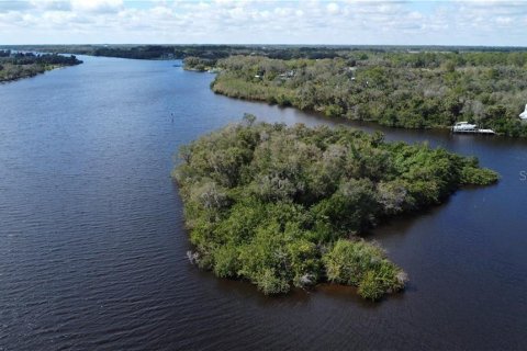 Terreno en venta en Alva, Florida № 1798172 - foto 21